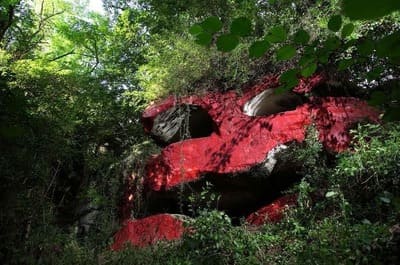 Artotheque de l'aisne newsletter _ CAVERNE-RASE DAVID